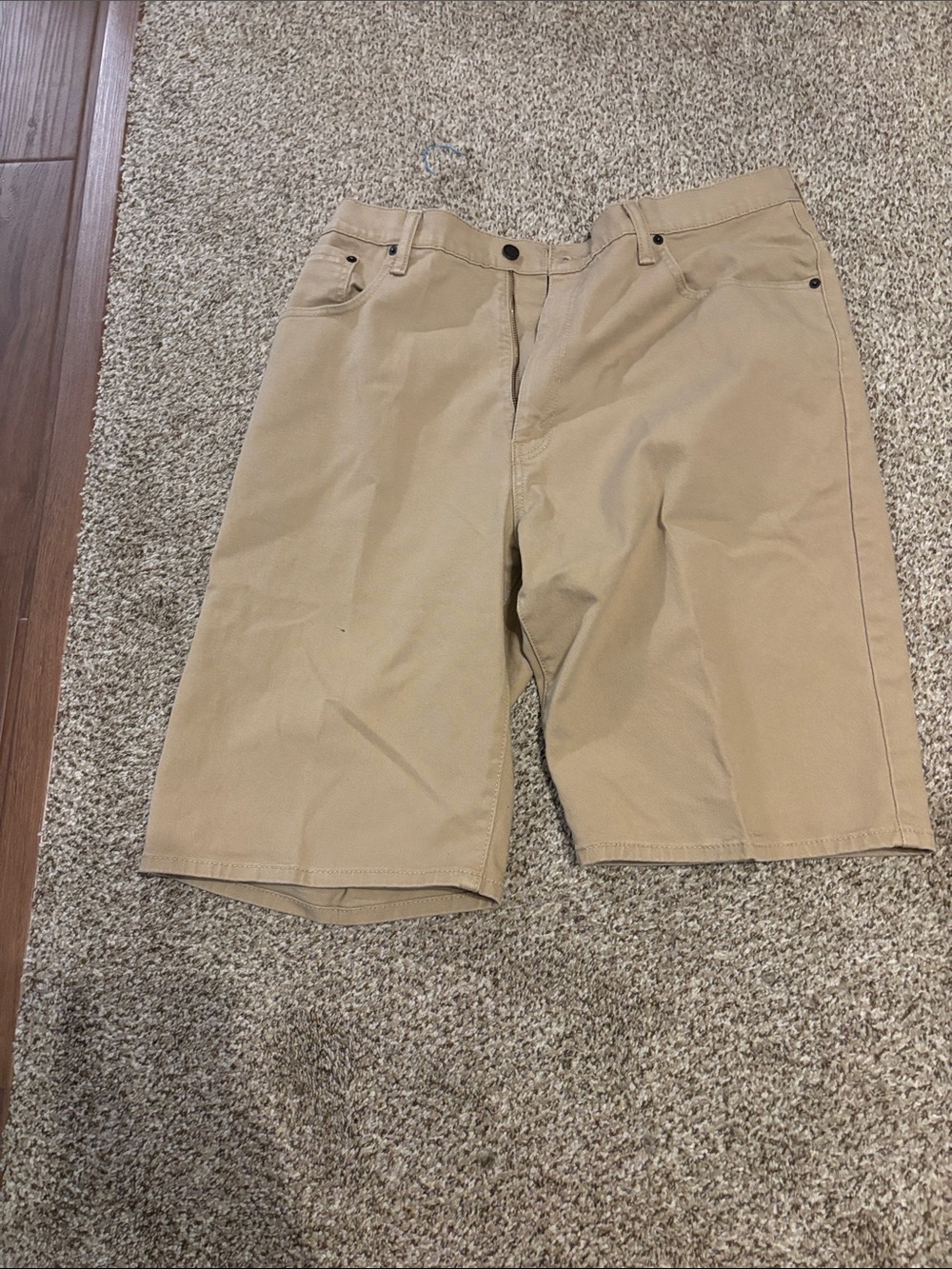 Levi's Tan Flat Front Men's Shorts